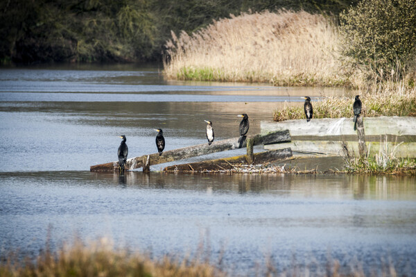 Natuurwandeling door het Raamdal in Escharen