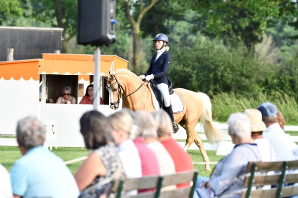 Bijzondere 26e editie van Hippisch Festijn Grave 2024: Afscheid van de grasbodem