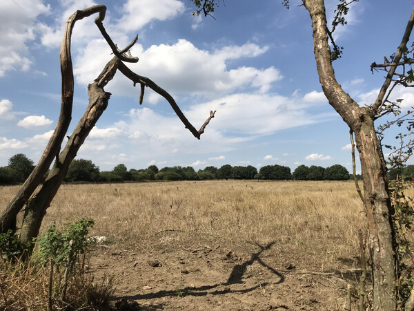 Lezingen IVN Land van Cuijk over klimaat en energie