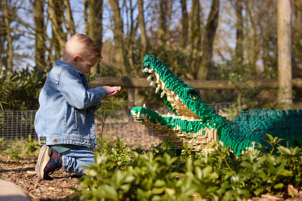 Expeditie Bricks keert terug naar ZooParc Overloon: nu nog groter!