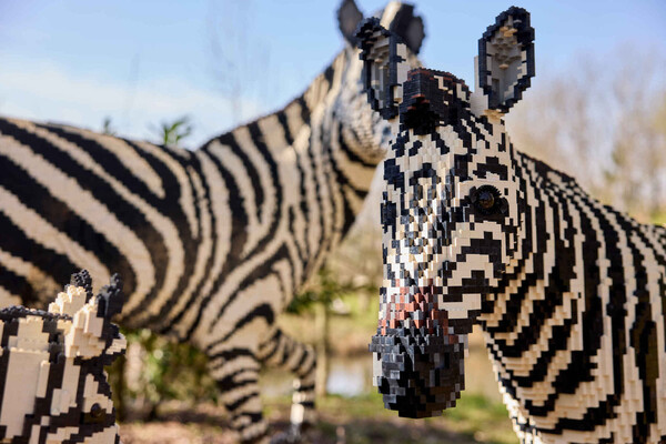 Expeditie Bricks keert terug naar ZooParc Overloon: nu nog groter!