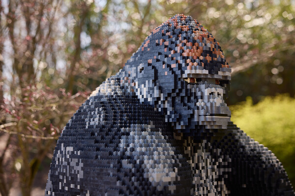 Expeditie Bricks keert terug naar ZooParc Overloon: nu nog groter!