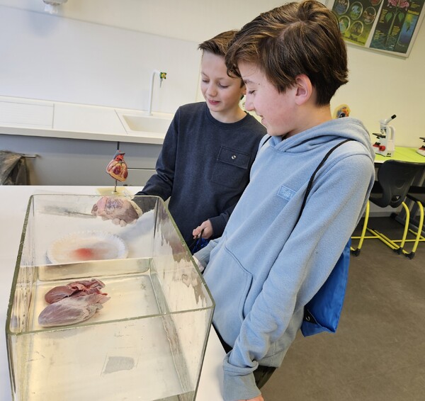 Middelbare scholen trekken veel belangstellenden tijdens open dagen   