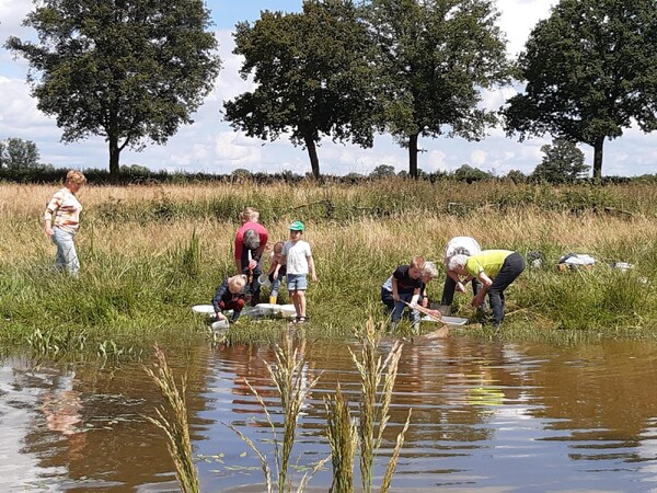 IVN jeugd op watersafari