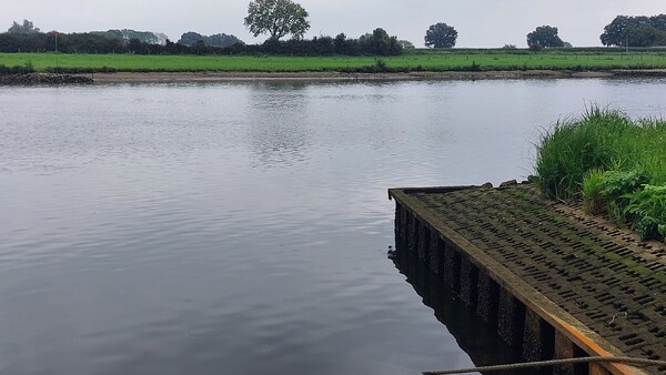 Foto's lage waterstand Maas