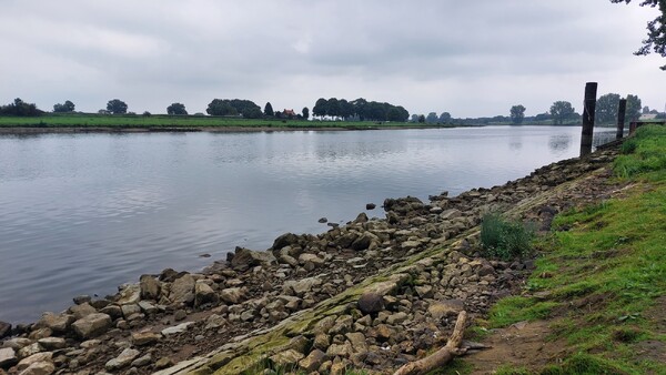 Foto's lage waterstand Maas