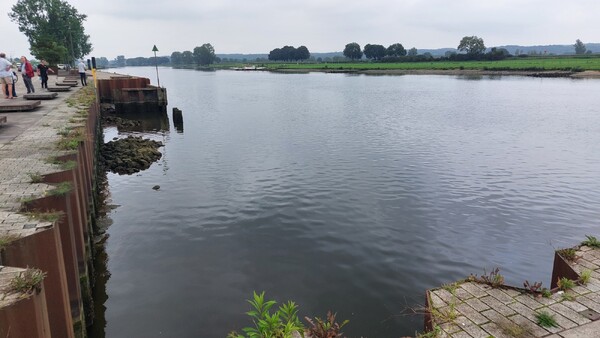 Foto's lage waterstand Maas