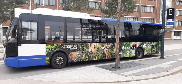 Toename Duitse bezoekers ZooParc dankzij samenwerking Tiergarten Kleve