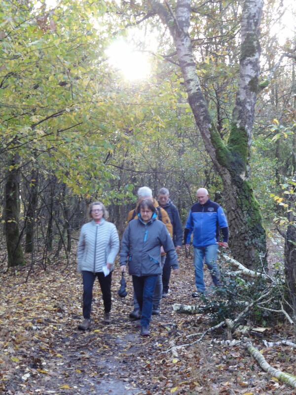 Wandelen in Mill!