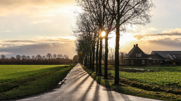 Foto: Henk Straatman Fotografie