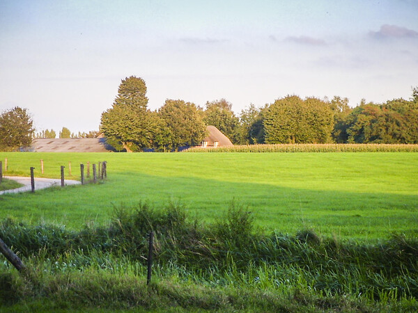 Wandeling door landschap De Zandvoort in Langenboom