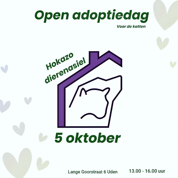 Open adoptiedag HOKAZO Uden