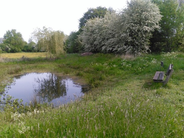 Natuurwandeling voor de jeugd in Unecso Maasheggen Vortum