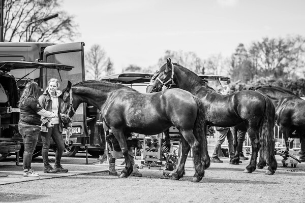 Beste Allround Hoefsmid van Nederland in Rijkevoort