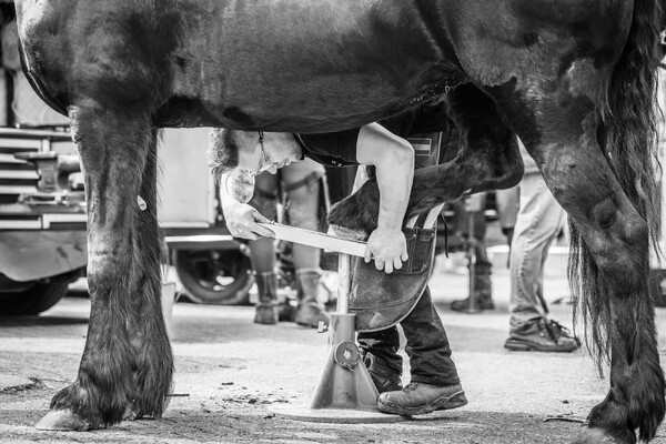 Beste Allround Hoefsmid van Nederland in Rijkevoort