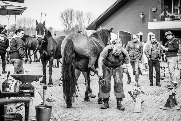 Beste Allround Hoefsmid van Nederland in Rijkevoort