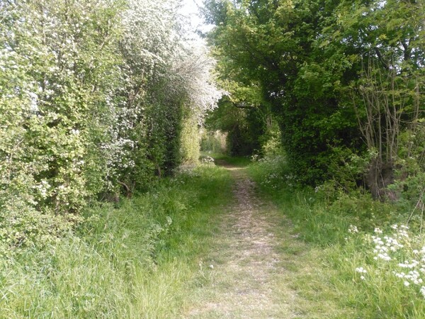 Natuurwandeling voor de jeugd in Unecso Maasheggen Vortum