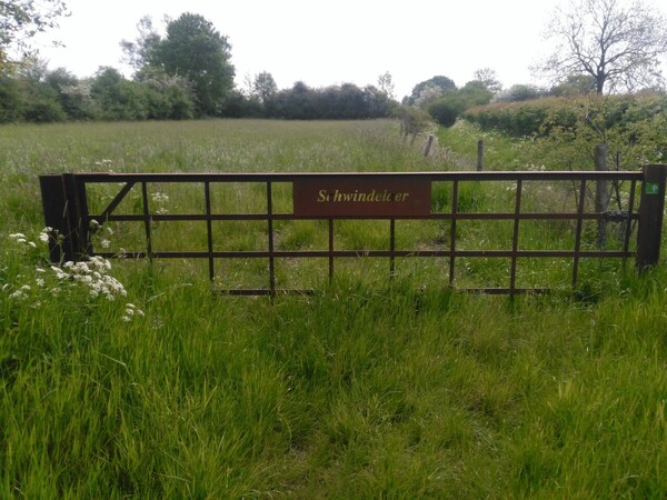 Natuurwandeling voor de jeugd in Unecso Maasheggen Vortum