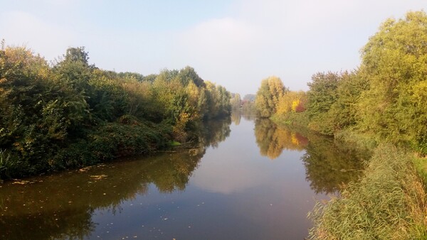 IVN-natuurwandeling op zondag 20 augustus