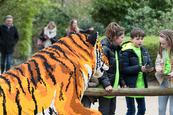 Expeditie Bricks is feestelijk geopend in ZooParc Overloon