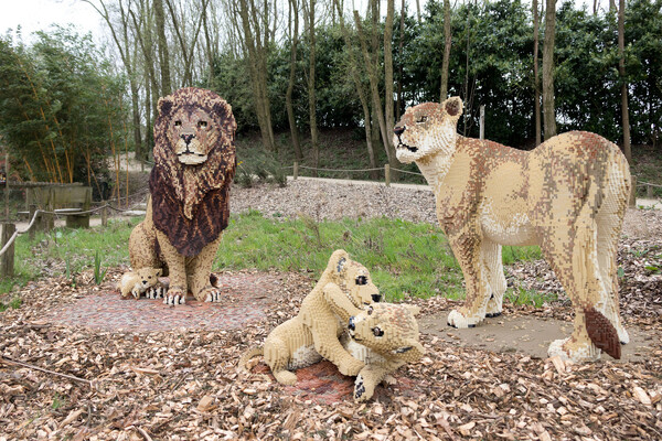 Expeditie Bricks is feestelijk geopend in ZooParc Overloon