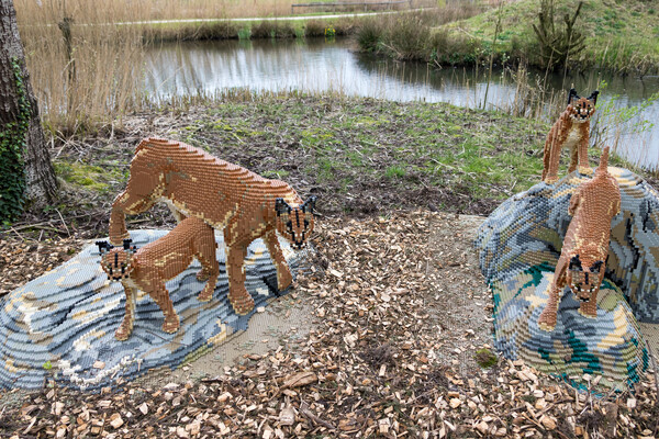 Expeditie Bricks is feestelijk geopend in ZooParc Overloon