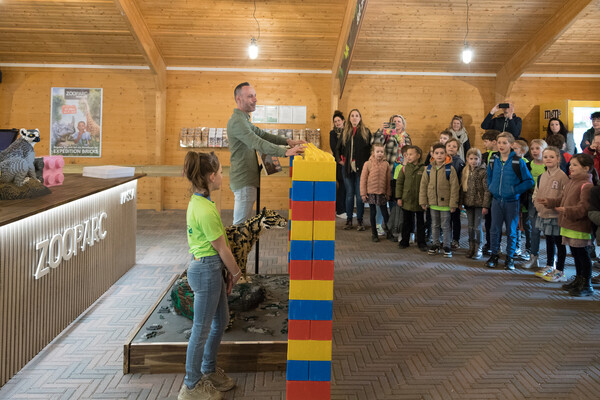 Expeditie Bricks is feestelijk geopend in ZooParc Overloon