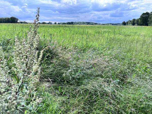 Rondom 't Torentje Langenboom