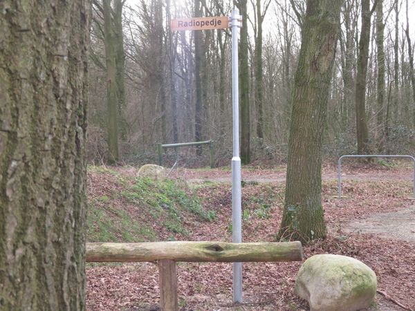 Zomerse wandeling bij de Radioplassen in Stevensbeek