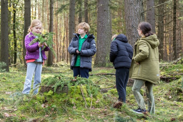 Bosgroep en Scouting verwijderen opschot van dennen en andere boompjes jaarlijkse Natuurwerkdag in Overloon