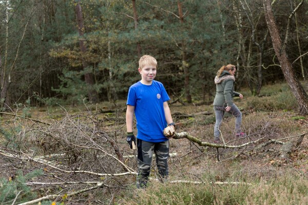 Bosgroep en Scouting verwijderen opschot van dennen en andere boompjes jaarlijkse Natuurwerkdag in Overloon