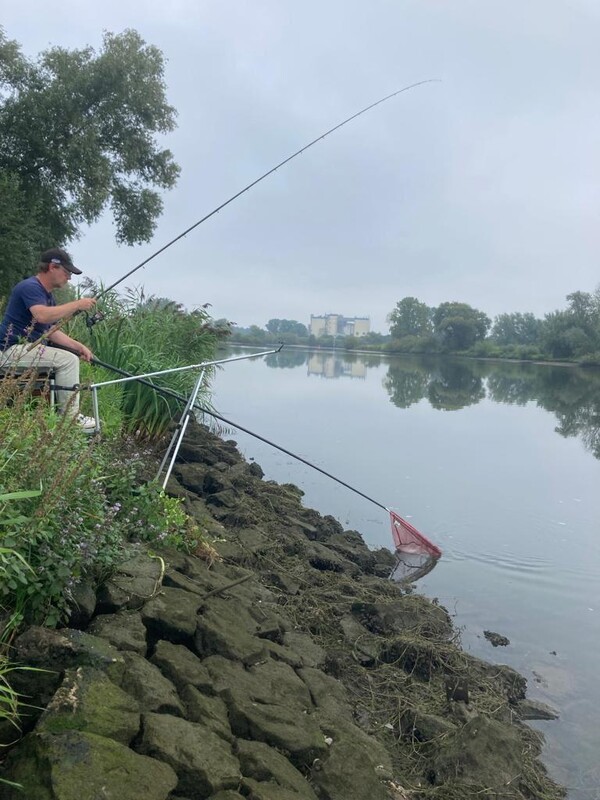 Foto's lage waterstand Maas