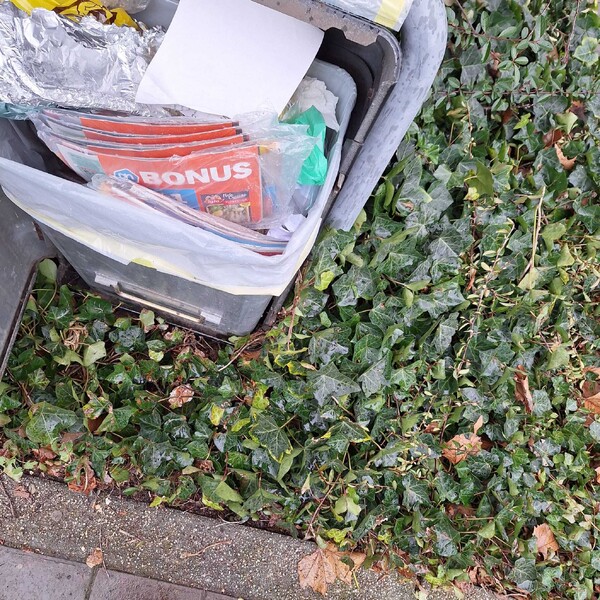  Reclamefolders gedumpt in Park Langenboom