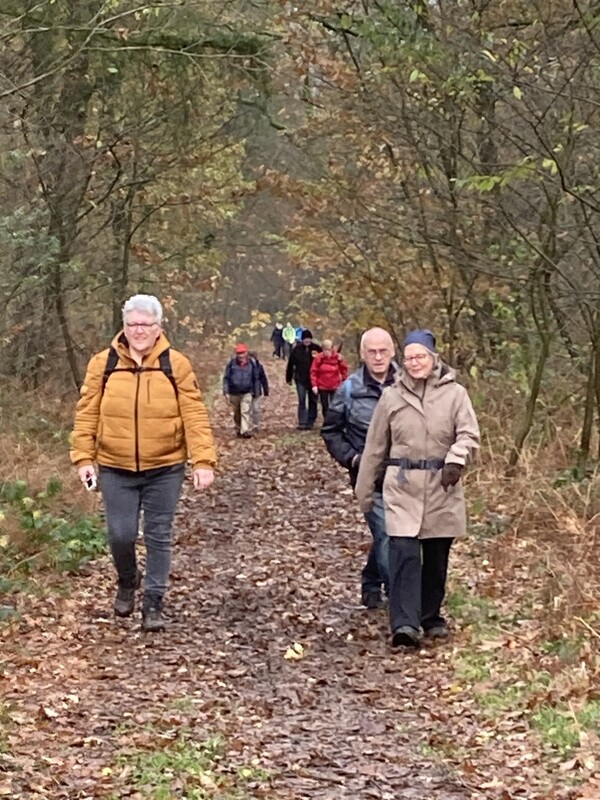 49e winterserie: wandelen in Mill