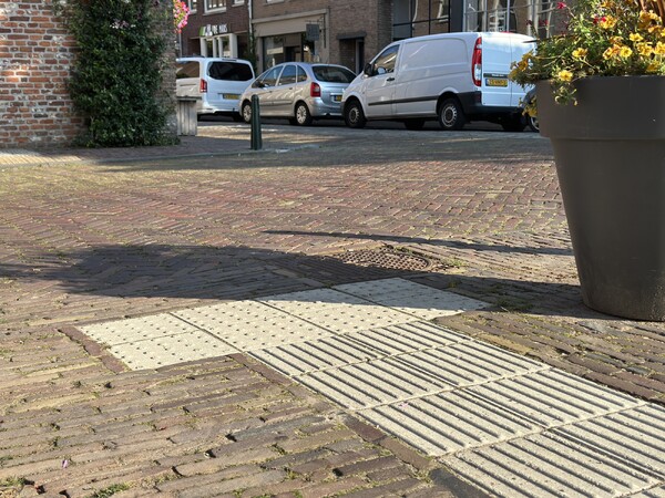 Platform toegankelijk Grave zoekt vrijwilligers