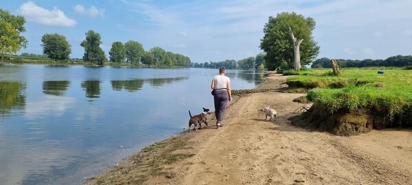 Foto's lage waterstand Maas