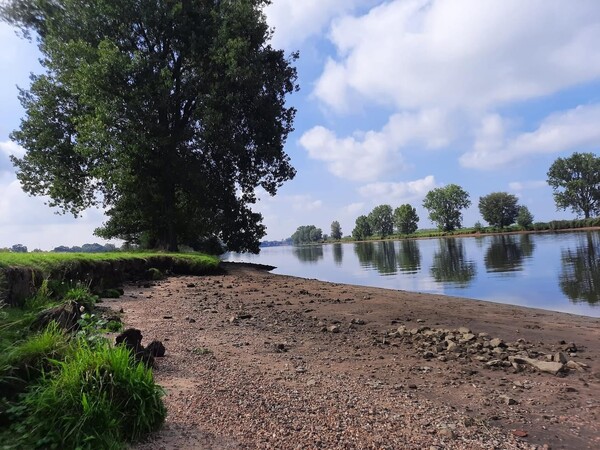 Foto's lage waterstand Maas