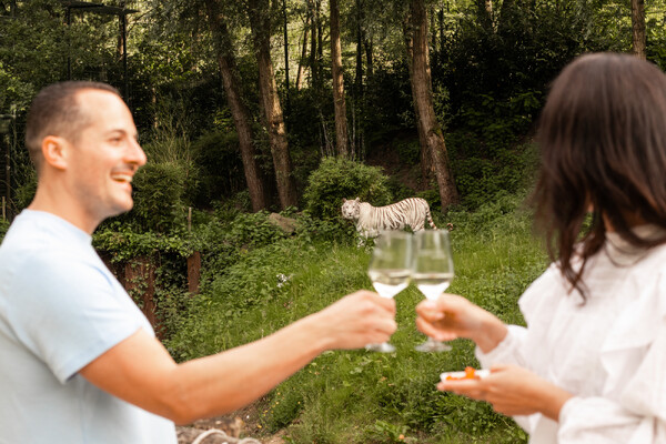 Foto: ZooParc Overloon