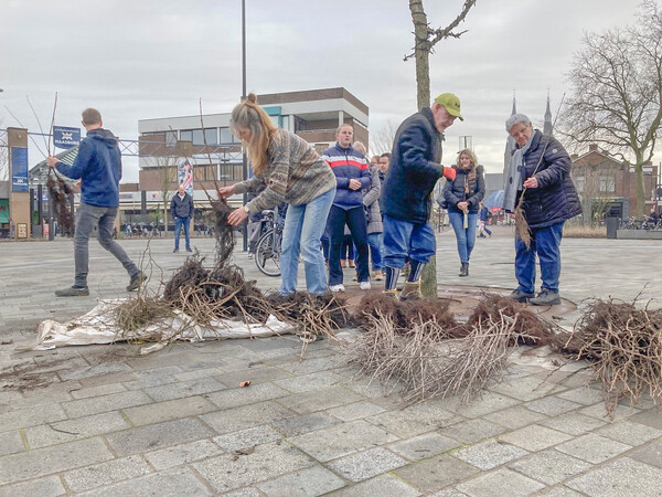 Natuurvereniging IVN Grave deelt gratis boompjes en struiken uit