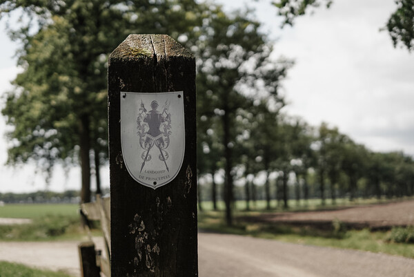 Nu ook gravelkoers in Land van Cuijk: Prins van de Peel