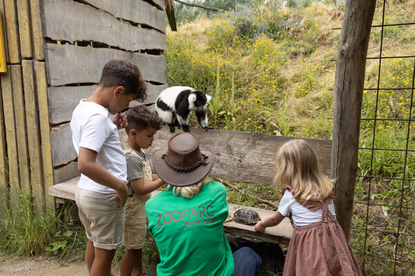 ZooParc Overloon en Stichting Wildlife zoeken vrijwilligers voor educatieve rol