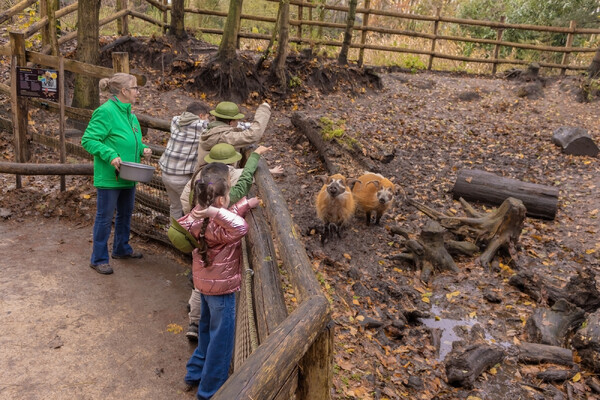 ZooParc Overloon en Stichting Wildlife zoeken vrijwilligers voor educatieve rol