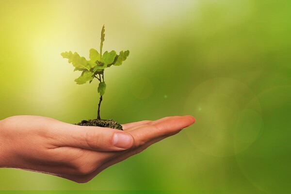 Aanpakken tijdens boomplantdag bij De Kuilen