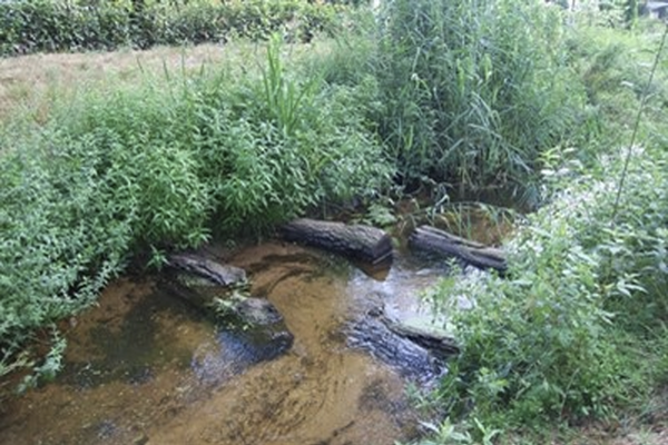 Lezing door Waterschap Aa en Maas  