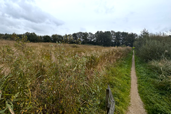 Gratis bomen voor inwoners van de gemeente Land van Cuijk