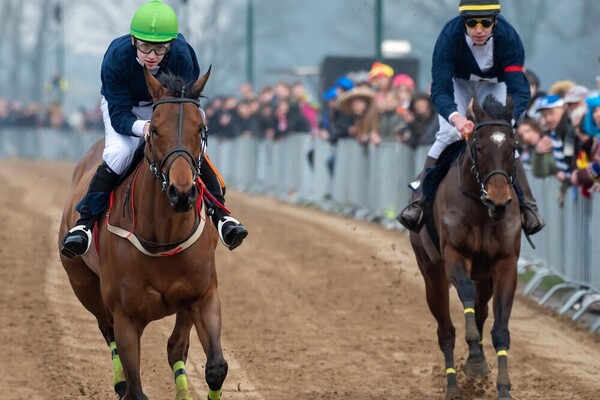 Metworstrennen live op Omroep Land van Cuijk