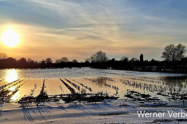 Winterlandschap Sambeek in beeld gebracht