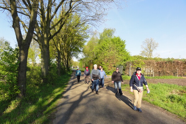 Wandelen in Mill!