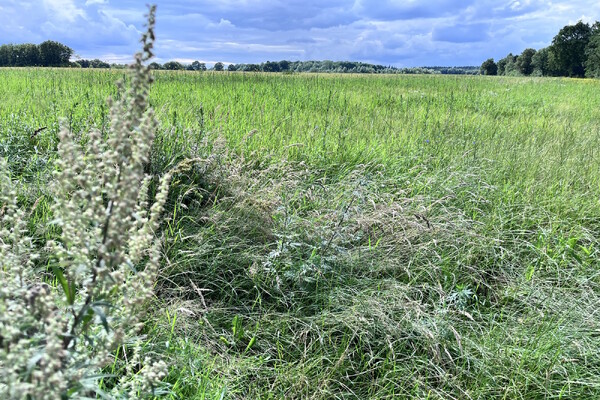 Langenboom vreest voor uitbreiding springterrein