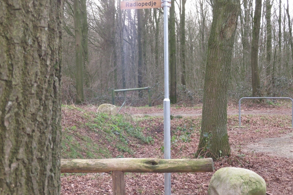 Zomerse wandeling bij de Radioplassen in Stevensbeek